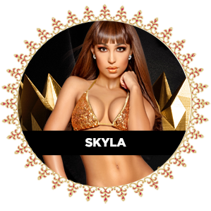 skyla_overlay
